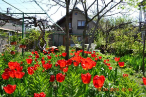 Гостиница Milorava's Guest House & Wine Cellar  Телави